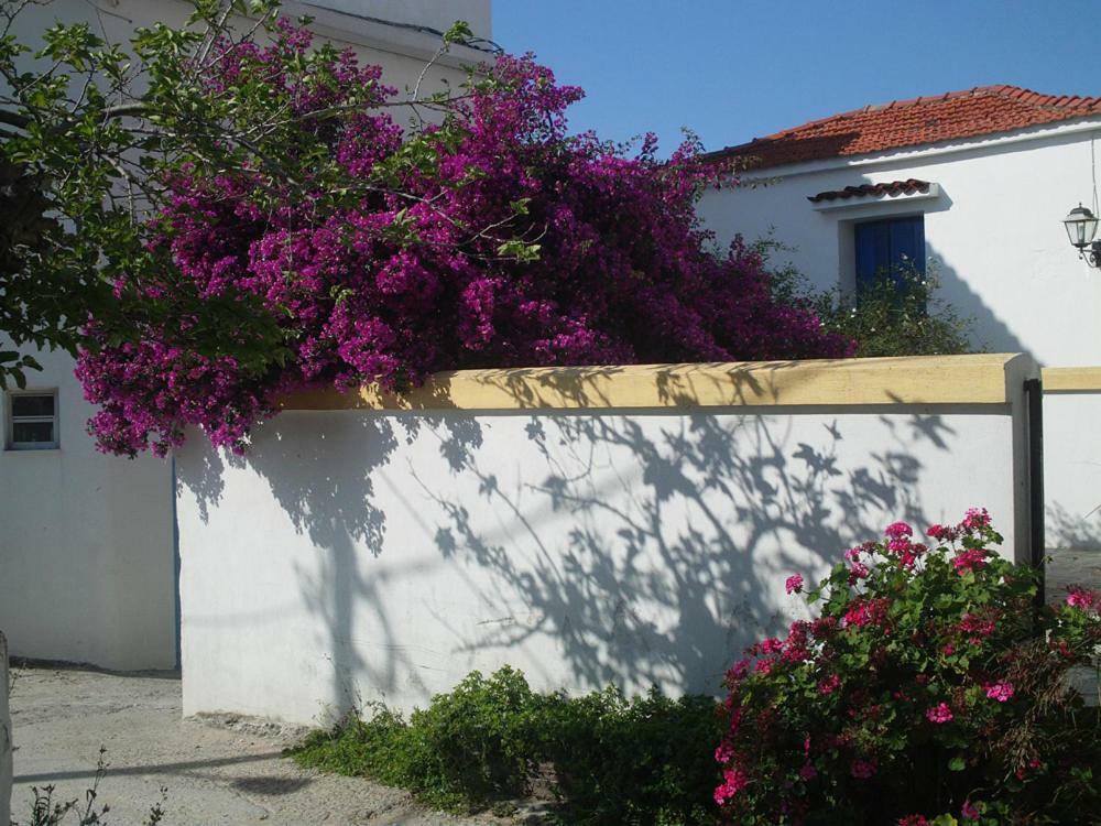 Plakes Suites Skiathos Exterior photo